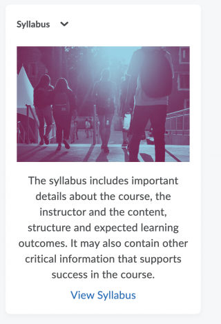 syllabus widget