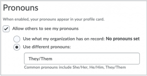 The area under Account Settings, where you can set your pronouns