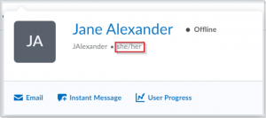 A user profile card with the pronouns displayed