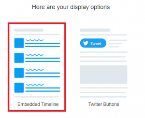 Twitter display options