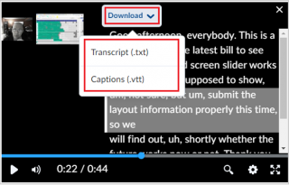 Figure: Media Player Transcript and Captions download options.