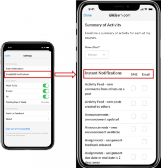 Figure: The Instant Notifications section of the Email/SMS Notifications page in Pulse