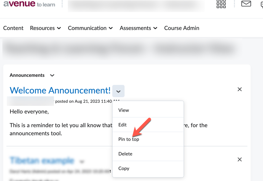 The Announcement page with the Pin to top option selected and the Announcement has been pinned message.